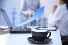 經(jīng)濟(jì)信息咨詢 商業(yè)決策的智慧引擎