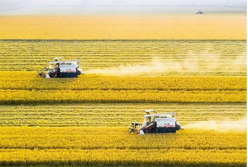 麻城市2022年GDP分析 與百?gòu)?qiáng)縣的距離及農(nóng)牧飼料產(chǎn)業(yè)發(fā)展